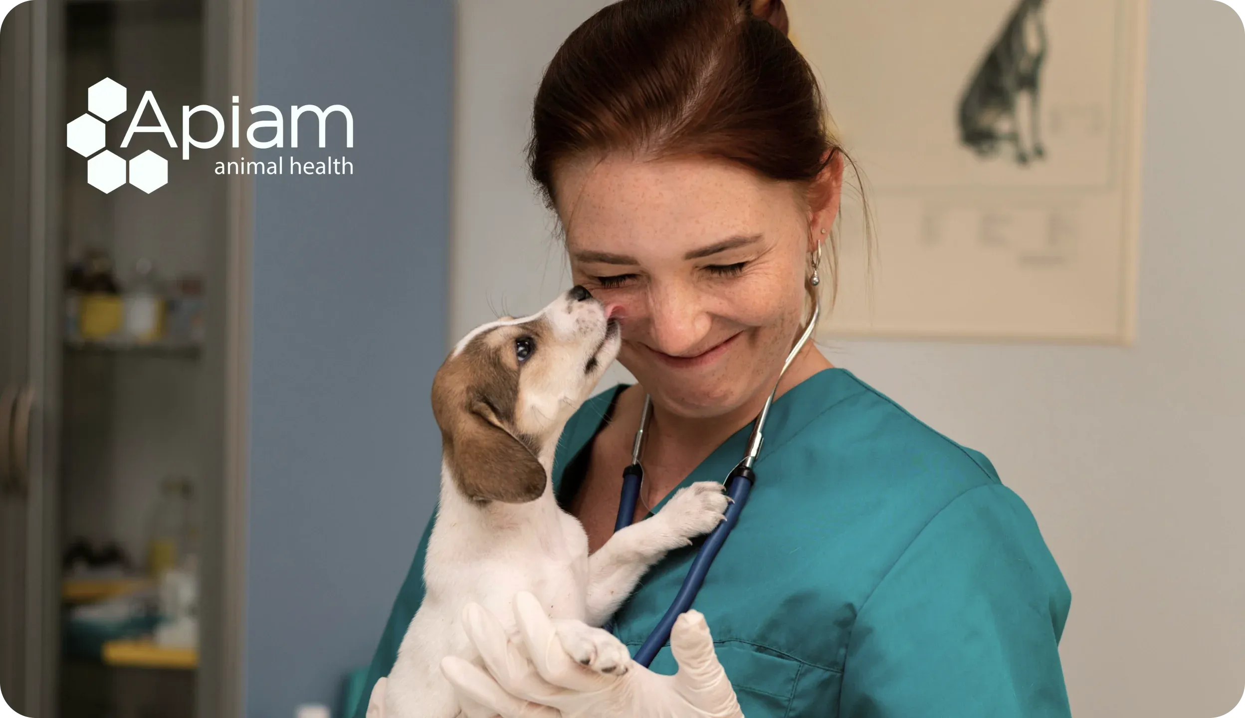 Apiam,Image (2).webp