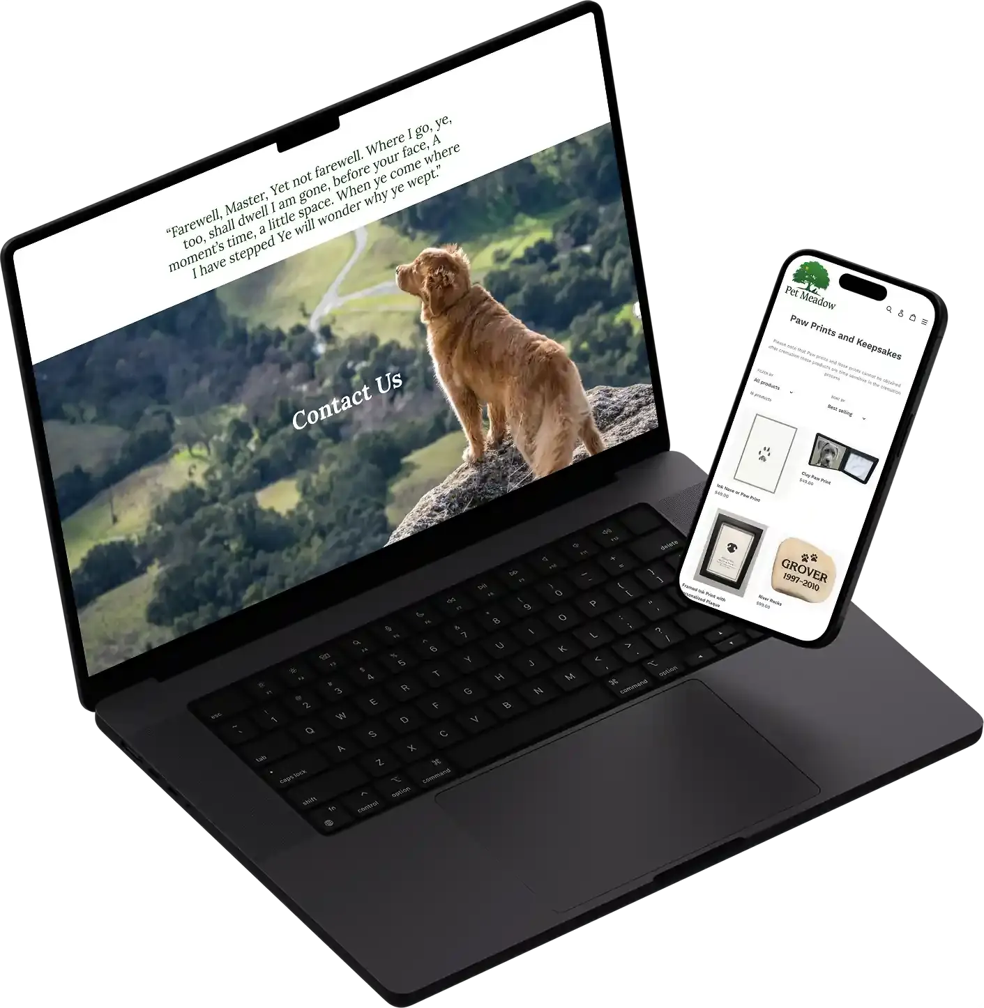 Pet meadow - Our conclusion web.webp