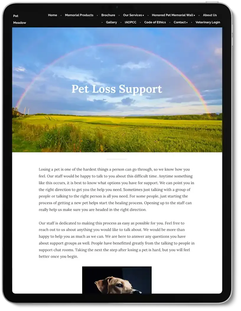 Petmeadow6.webp