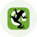 screamingFrog.png