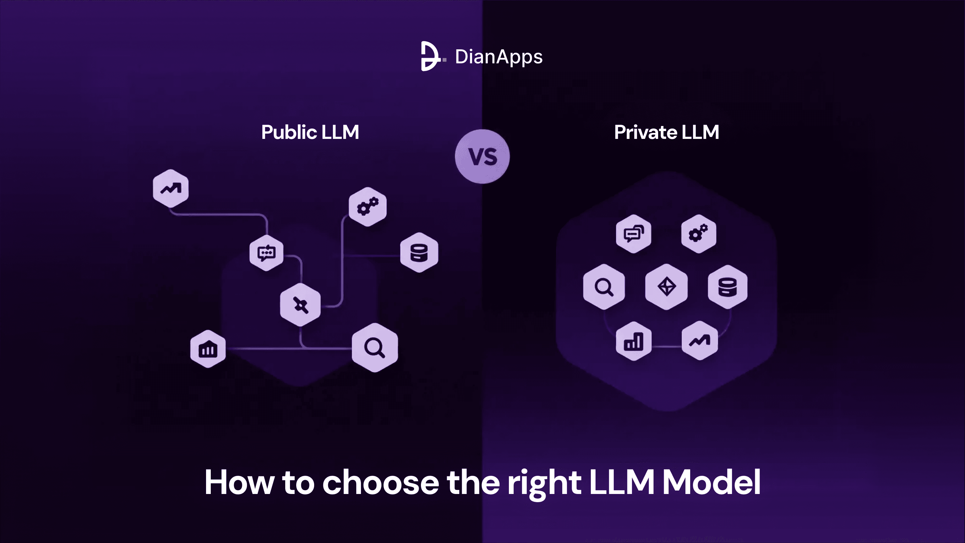 Private vs Public LLM
