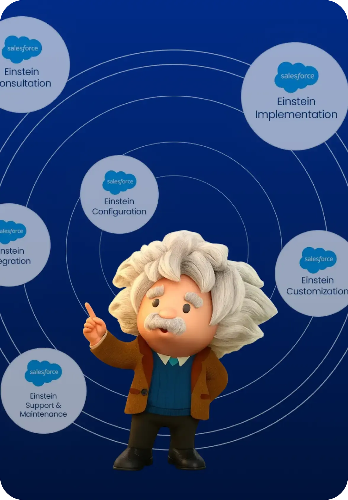 Einstein AI & Predictive Analytics - salesforce development