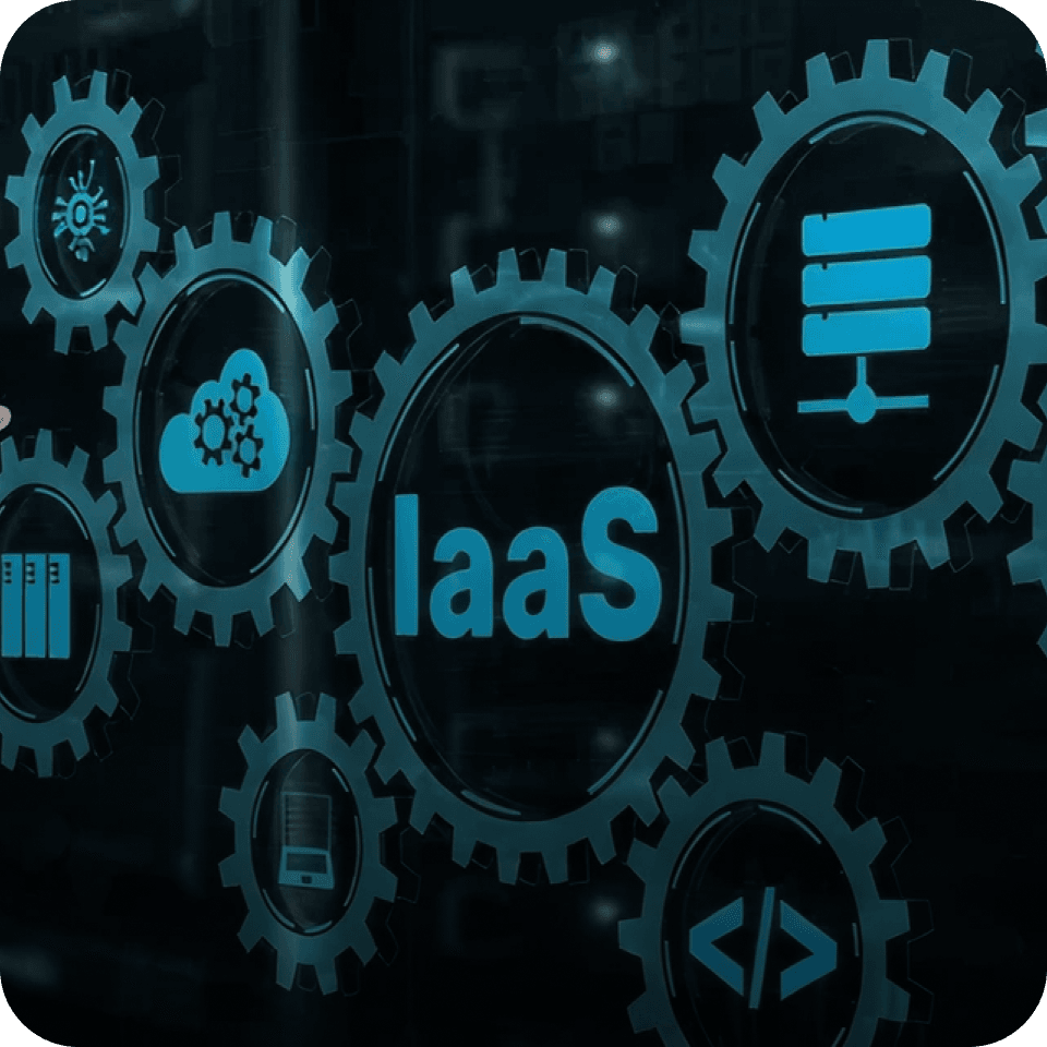 laas.png